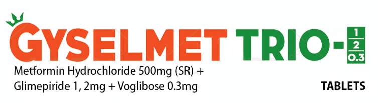 GYSELMET-TRIO